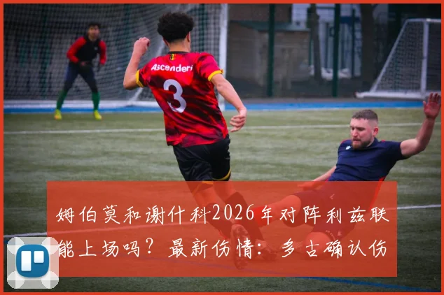 姆伯莫和谢什科2026年对阵利兹联能上场吗？最新伤情：多古确认伤缺至5月，解读曼晚报道核心要点